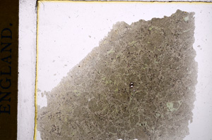 Plane Polarized, E15230