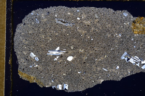 Cross Polarized, E15235