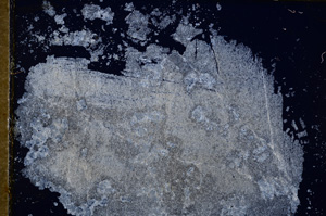 Cross Polarized, E15236