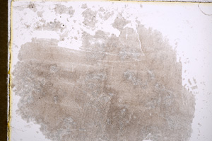 Plane Polarized, E15236