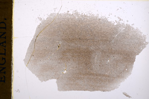 Plane Polarized, E15237