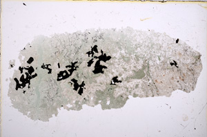 Plane Polarized, E15244