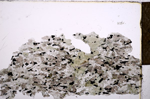 Plane Polarized, E15247