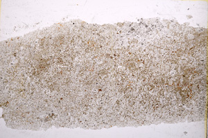 Plane Polarized, E15262