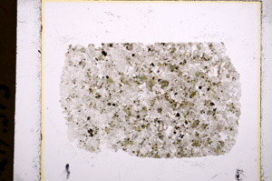 Plane Polarized, E15269/A