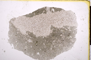 Plane Polarized, E15277