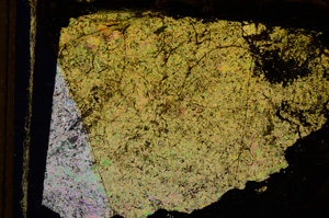 Cross Polarized, E15323