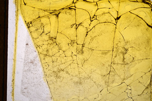 Plane Polarized, E15323