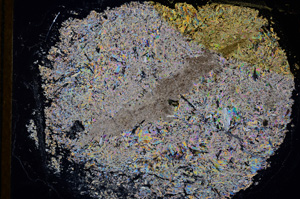 Cross Polarized, E15330