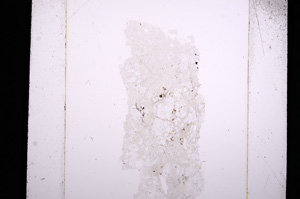 Plane Polarized, E15423