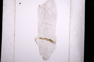 Plane Polarized, E15429