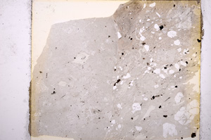 Plane Polarized, E15436