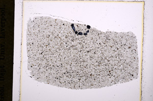 Plane Polarized, E15450