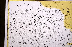 Plane Polarized, E15450/A