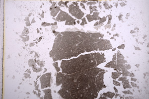 Plane Polarized, E15465
