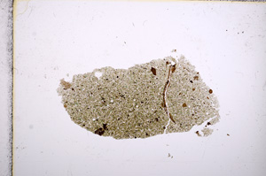 Plane Polarized, E15480