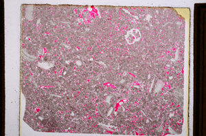 Plane Polarized, E15488