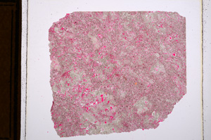 Plane Polarized, E15489