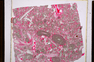 Plane Polarized, E15492