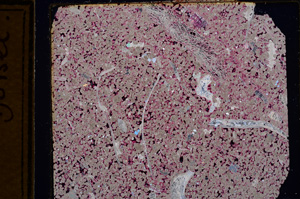 Cross Polarized, E15493