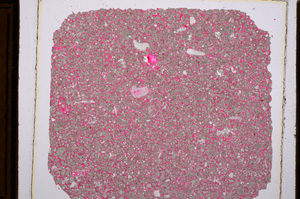 Plane Polarized, E15494