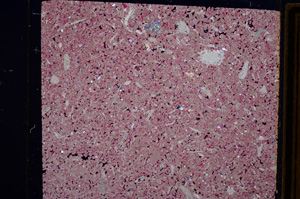 Cross Polarized, E15507