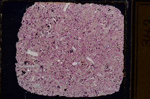 Cross Polarized, E15533