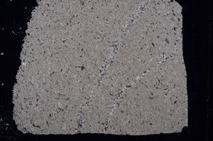 Cross Polarized, E15591