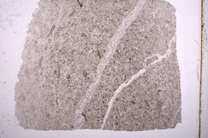 Plane Polarized, E15591