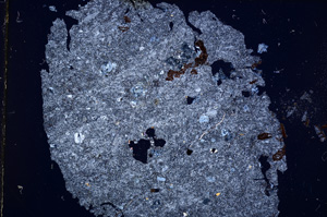 Cross Polarized, E15592