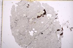 Plane Polarized, E15592