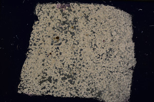 Cross Polarized, E15612