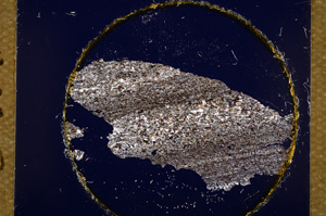 Cross Polarized, E15620