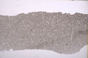Plane Polarized, E15623