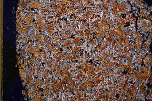 Cross Polarized, E15627