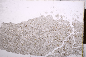 Plane Polarized, E15651