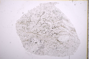 Plane Polarized, E15658
