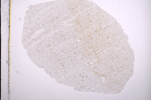 Plane Polarized, E15660