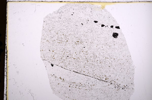 Plane Polarized, E15663