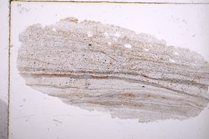Plane Polarized, E15669