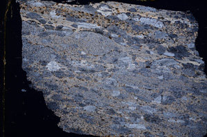 Cross Polarized, E15670