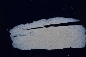Cross Polarized, E15687