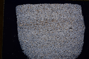Cross Polarized, E15688