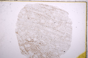Plane Polarized, E15689