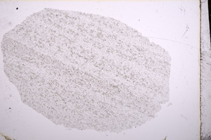 Plane Polarized, E15691