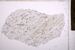 Plane Polarized, E15693