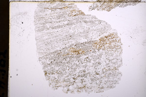 Plane Polarized, E15696