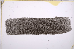 Plane Polarized, E15698