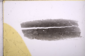 Plane Polarized, E15699