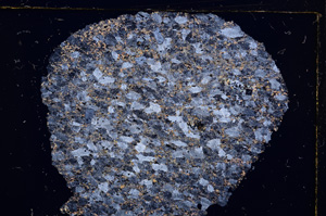 Cross Polarized, E15702